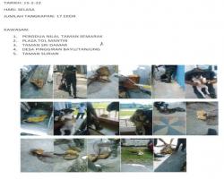 LAPORAN TANGKAPAN ANJING SEPANJANG BULAN FEBRUARI 2022