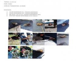 TANGKAPAN ANJING SEPANJANG BULAN JANUARI 2022