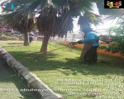 PENYELENGGARAAN RUMPUT