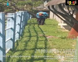 PENYELENGGARAAN RUMPUT