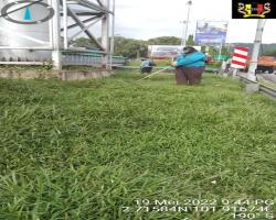 PENYELENGGARAAN RUMPUT