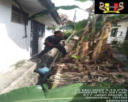 TINDAKAN PEMBERSIHAN ADUAN AWAM 