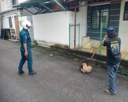 OPERASI MENYELAMATKAN HAIWAN TERBIAR (ANJING) OLEH MBS 