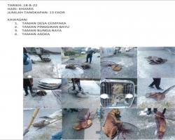 LAPORAN OPERASI TANGKAPAN ANJING LIAR / TERBIAR DI DALAM KAWASAN PENTADBIRAN MAJLIS BANDARAYA SEREMBAN 