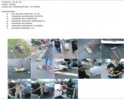 LAPORAN OPERASI TANGKAPAN ANJING LIAR / TERBIAR DI DALAM KAWASAN PENTADBIRAN MAJLIS BANDARAYA SEREMBAN 