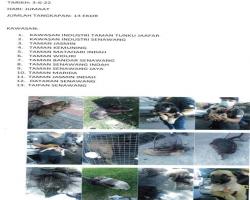 LAPORAN OPERASI TANGKAPAN ANJING LIAR / TERBIAR DI DALAM KAWASAN PENTADBIRAN MBS