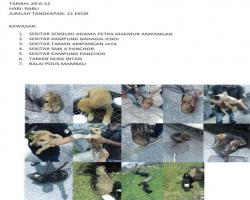 LAPORAN OPERASI TANGKAPAN ANJING LIAR / TERBIAR DI DALAM KAWASAN PENTADBIRAN MBS