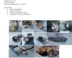 LAPORAN OPERASI TANGKAPAN ANJING LIAR / TERBIAR DI DALAM KAWASAN PENTADBIRAN MBS