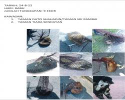 LAPORAN OPERASI TANGKAPAN ANJING LIAR / TERBIAR DI DALAM KAWASAN PENTADBIRAN MAJLIS BANDARAYA SEREMBAN 