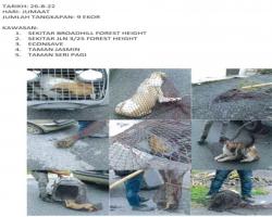 LAPORAN OPERASI TANGKAPAN ANJING LIAR / TERBIAR DI DALAM KAWASAN PENTADBIRAN MAJLIS BANDARAYA SEREMBAN 