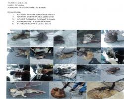 LAPORAN OPERASI TANGKAPAN ANJING LIAR / TERBIAR DI DALAM KAWASAN PENTADBIRAN MBS