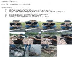 LAPORAN OPERASI TANGKAPAN ANJING LIAR / TERBIAR DI DALAM KAWASAN PENTADBIRAN MBS