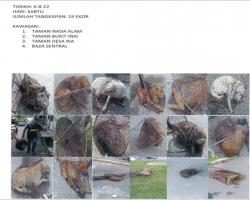 LAPORAN OPERASI TANGKAPAN ANJING LIAR / TERBIAR DI DALAM KAWASAN PENTADBIRAN MAJLIS BANDARAYA SEREMBAN 