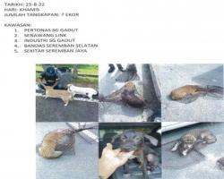LAPORAN OPERASI TANGKAPAN ANJING LIAR / TERBIAR DI DALAM KAWASAN PENTADBIRAN MAJLIS BANDARAYA SEREMBAN 