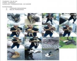 LAPORAN OPERASI TANGKAPAN ANJING LIAR / TERBIAR DI DALAM KAWASAN PENTADBIRAN MAJLIS BANDARAYA SEREMBAN 