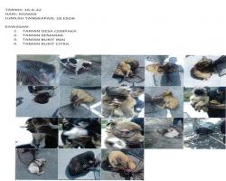 LAPORAN OPERASI TANGKAPAN ANJING LIAR / TERBIAR DI DALAM KAWASAN PENTADBIRAN MBS