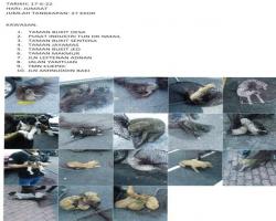 LAPORAN OPERASI TANGKAPAN ANJING LIAR / TERBIAR DI DALAM KAWASAN PENTADBIRAN MBS