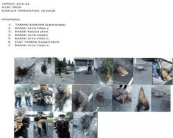 LAPORAN OPERASI TANGKAPAN ANJING LIAR / TERBIAR DI DALAM KAWASAN PENTADBIRAN MBS