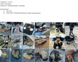 LAPORAN OPERASI TANGKAPAN ANJING LIAR / TERBIAR DI DALAM KAWASAN PENTADBIRAN MBS