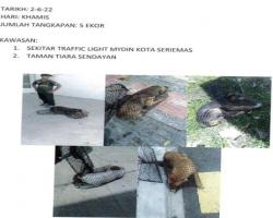 LAPORAN OPERASI TANGKAPAN ANJING LIAR / TERBIAR DI DALAM KAWASAN PENTADBIRAN MBS
