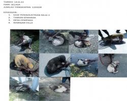 LAPORAN OPERASI TANGKAPAN ANJING LIAR / TERBIAR DI DALAM KAWASAN PENTADBIRAN MBS