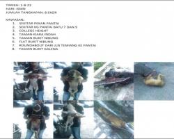 TANGKAPAN ANJING LIAR/TERBIAR