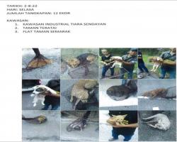 TANGKAPAN ANJING LIAR/TERBIAR