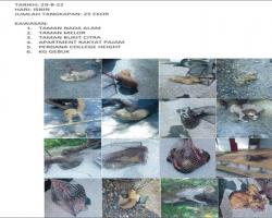 TANGKAPAN ANJING LIAR/TERBIAR