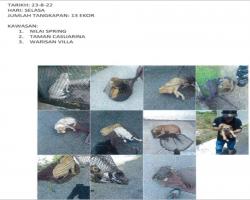 TANGKAPAN ANJING LIAR/TERBIAR