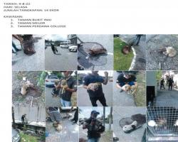 TANGKAPAN ANJING LIAR/TERBIAR