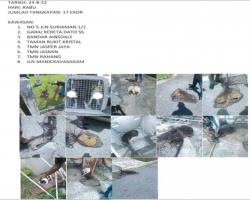 TANGKAPAN ANJING LIAR/TERBIAR