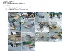 TANGKAPAN ANJING LIAR/TERBIAR