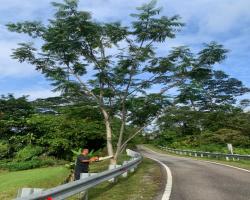 TASK FORCE BENCANA MBS