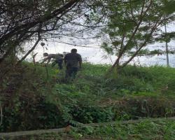 PEMBERSIHAN KAWASAN SEMAK DI JALAN UTAMA PENGHULU CANTIK-CENTRE POINT SEREMBAN.