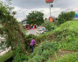PEMBERSIHAN KAWASAN SEMAK DI JALAN UTAMA PENGHULU CANTIK-CENTRE POINT SEREMBAN.