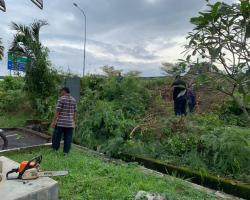PEMBERSIHAN KAWASAN SEMAK DI JALAN UTAMA PENGHULU CANTIK-CENTRE POINT SEREMBAN.