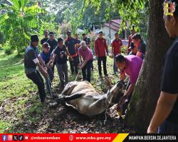 PROGRAM IBADAH KORBAN 1446H BAKI MBS