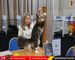 PERTANDINGAN & PERTUNJUKAN KUCING SEMPENA ULANG TAHUN KE-5 MAJLIS BANDARAYA SEREMBAN 2025