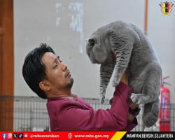 PERTANDINGAN & PERTUNJUKAN KUCING SEMPENA ULANG TAHUN KE-5 MAJLIS BANDARAYA SEREMBAN 2025