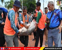 CABARAN NGAIL NISMILAN 2025