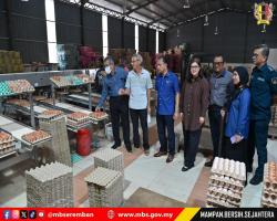 ISU BAU AYAM : MBS BERTINDAK SEGERA