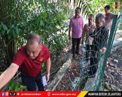 LAWATAN TURUN PADANG DATUK BANDAR KE PENGHULU CANTIK