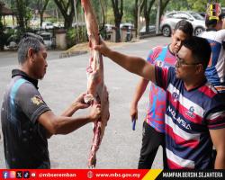 PROGRAM IBADAH KORBAN 1447H/2026M BAKI MBS