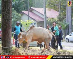PROGRAM IBADAH KORBAN 1447H/2026M BAKI MBS