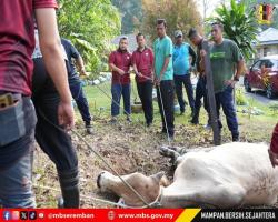 PROGRAM IBADAH KORBAN 1447H/2026M BAKI MBS