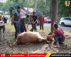 PROGRAM IBADAH KORBAN 1447H/2026M BAKI MBS