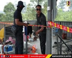 KACAUGANGGU BAU BUSUK AIR SUNGAI DI KAMPUNG KAYU ARA