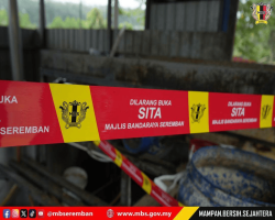 KACAUGANGGU BAU BUSUK AIR SUNGAI DI KAMPUNG KAYU ARA