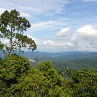 gunung angsi