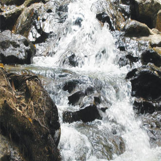 Taman Eko Rimba